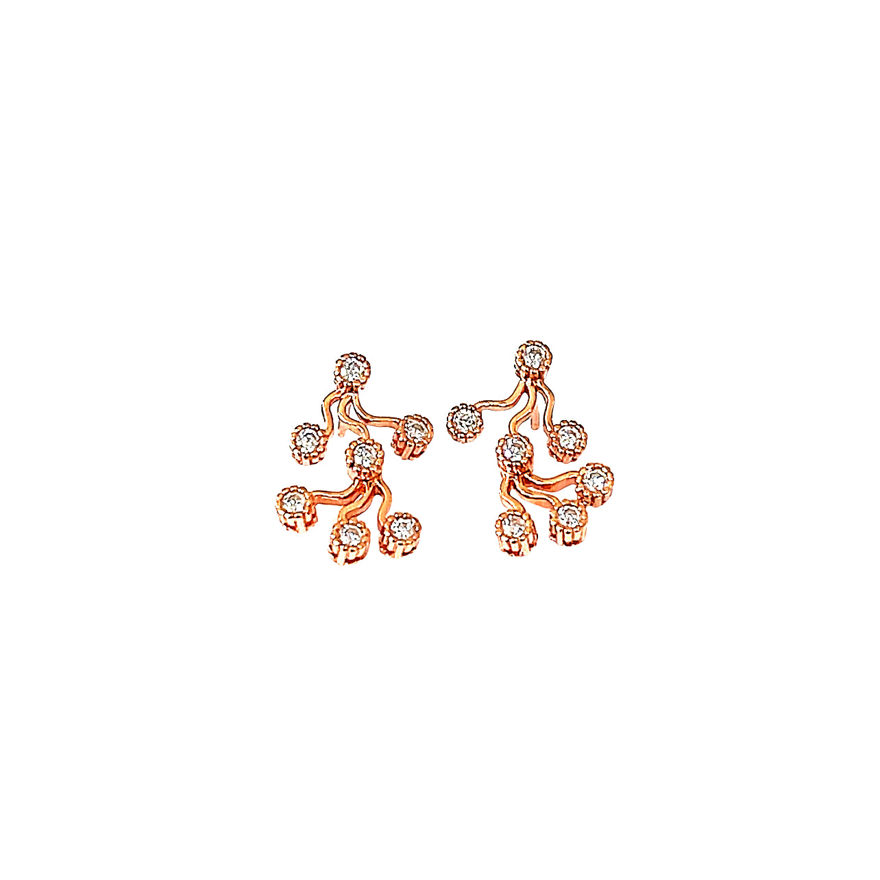 🌿 Nature-Inspired Drop Earrings- The Blossom