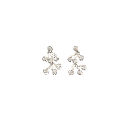 🌿 Nature-Inspired Drop Earrings- The Blossom